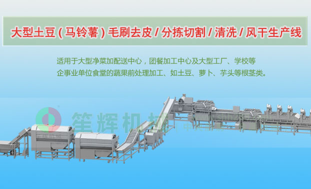 蓬安连续式土豆去皮清洗切割风干生产线